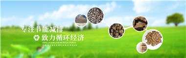 倪維斗院士：通過技術(shù)創(chuàng)新，大力發(fā)展超級能源生物質(zhì)燃料